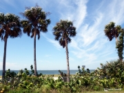 DSCF4507 1