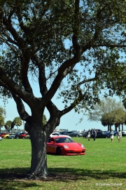 DSC_0223.JPG