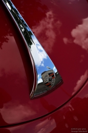 test481