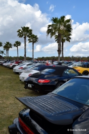 DSC_0672.JPG