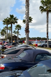 DSC_0683.JPG