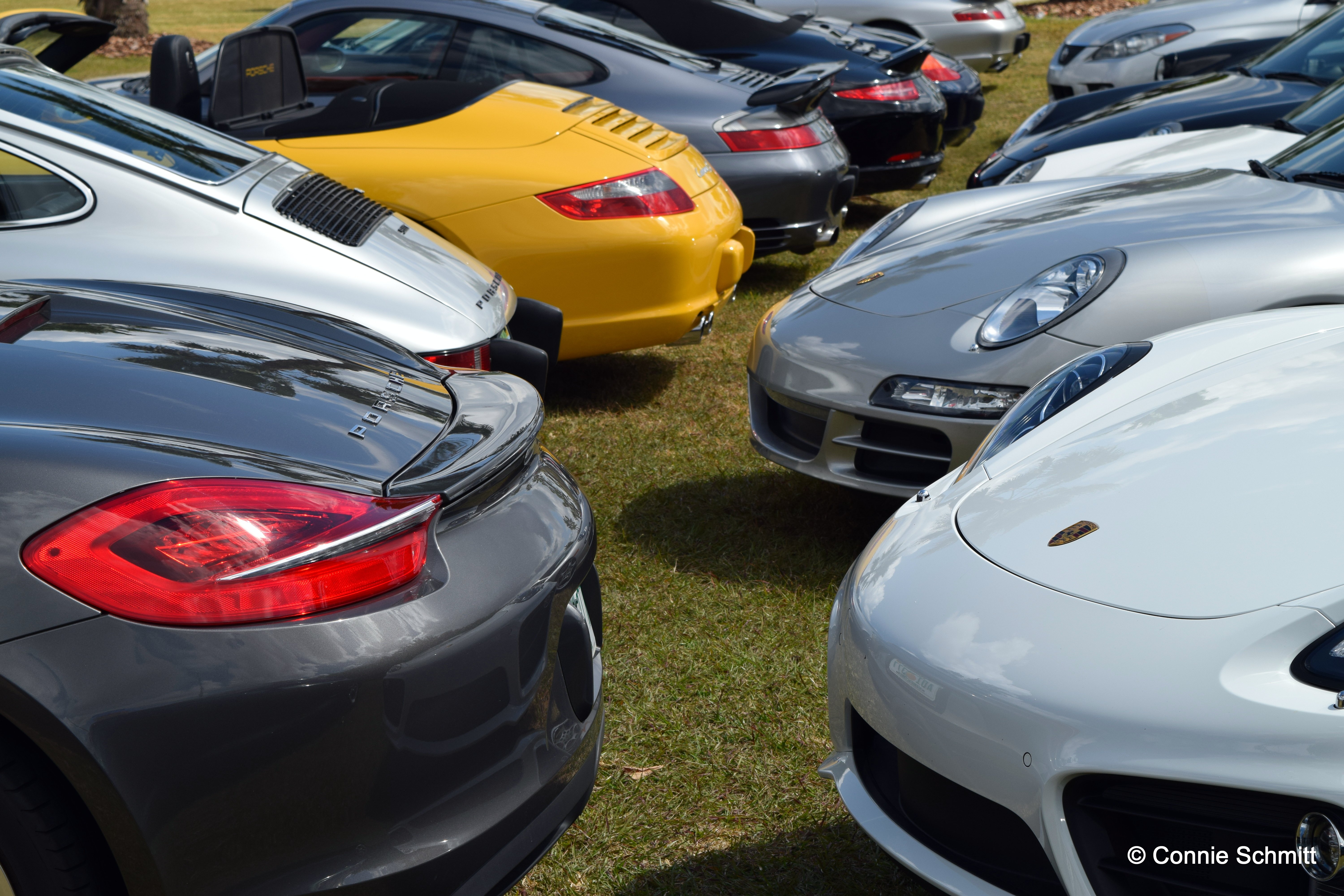 Porsches & Polo, 2015